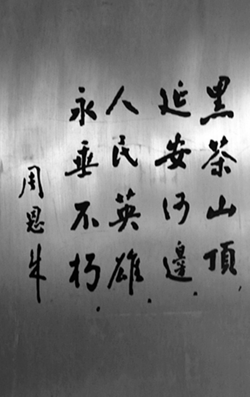 IMG_8774_副本_副本.jpg
