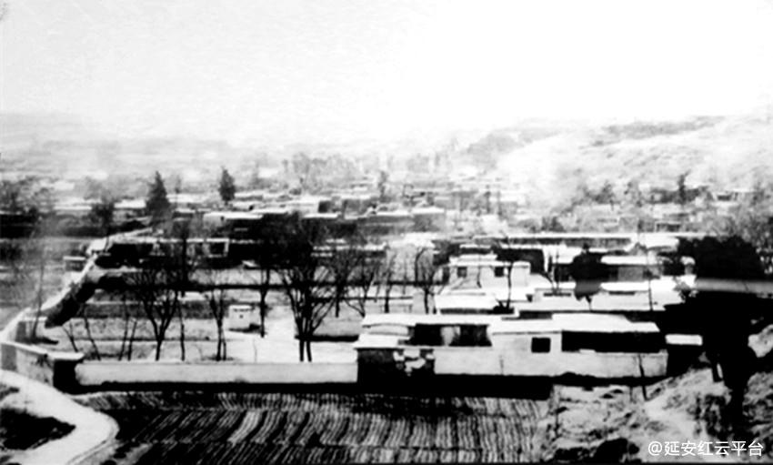 5f180b4fd2afd.jpg IMG_2240_副本_副本.jpg