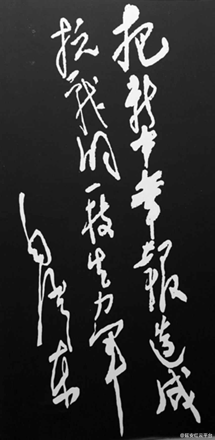 IMG_7282_副本.jpg