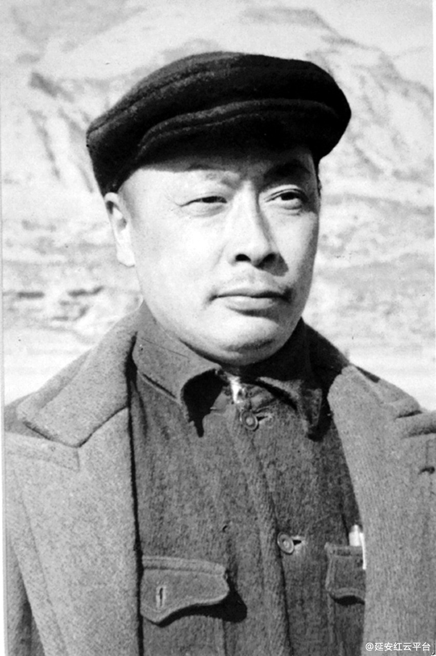 001wPMO6zy6TCXC430L1b&690_副本.jpg