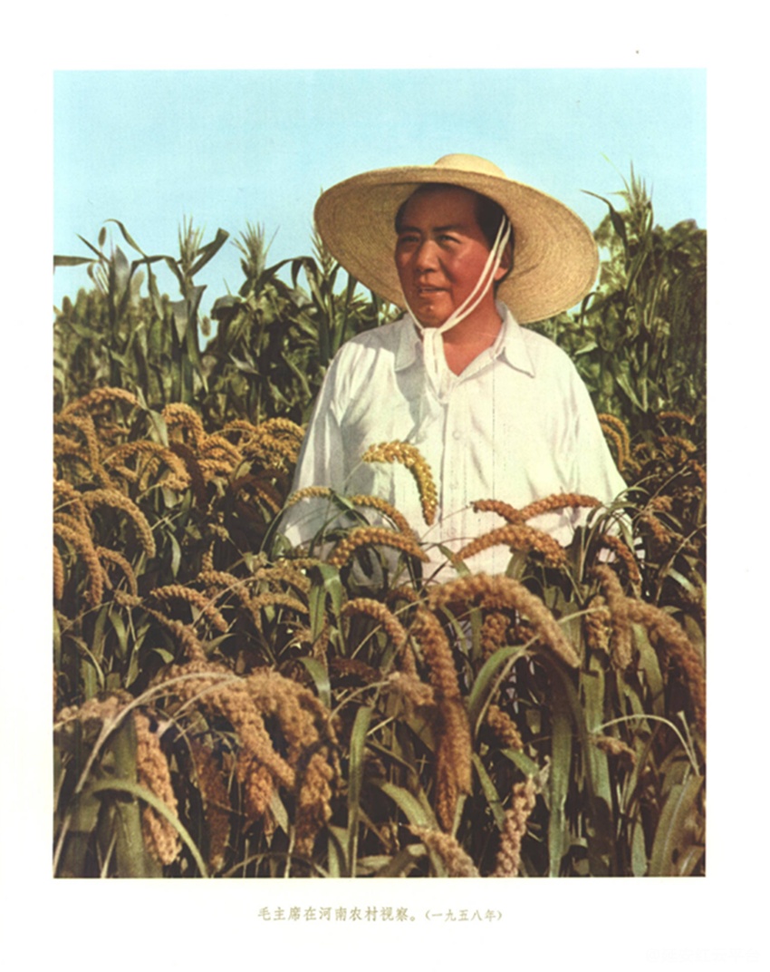 e17319a5e5074df69e2f1960988b9055_副本.png