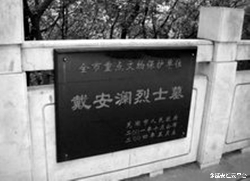 t014f9b80781efa7846_副本.jpg