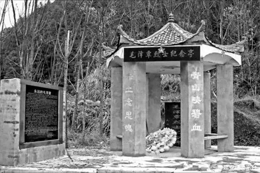 t01de5484e1f794e299.webp_副本_副本.jpg