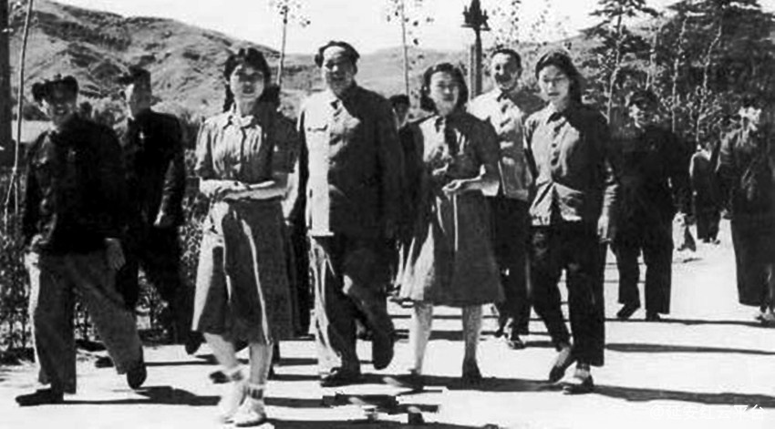 3bfebe40gy1gy5jzzvrqij20dv07pq3n_副本.jpg