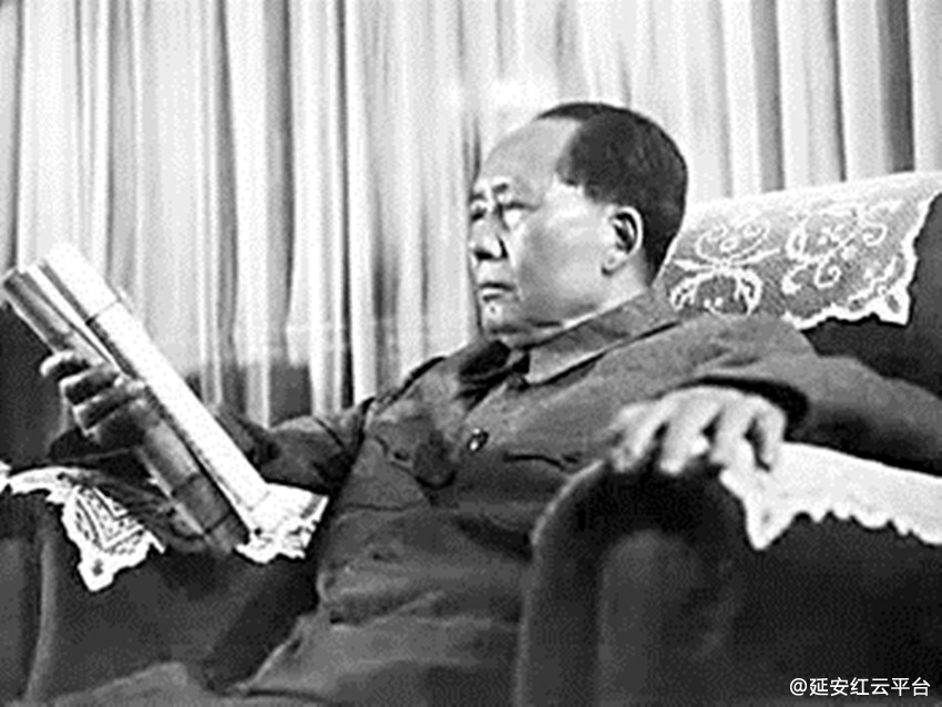 18381130316123291494_副本.jpg