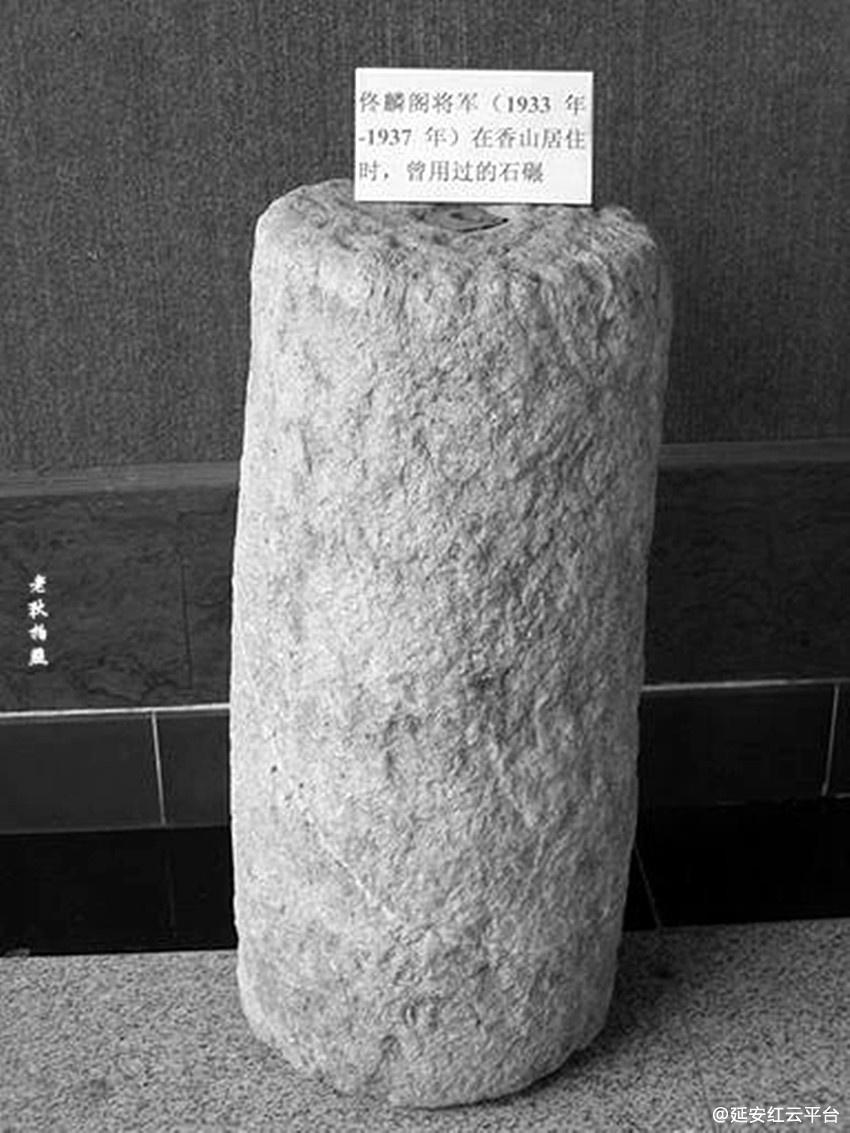 0823dd54564e9258352b73e69c82d158ccbf4e9f.webp_副本.jpg