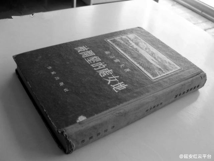 2949eJSJNn_b_副本.jpg