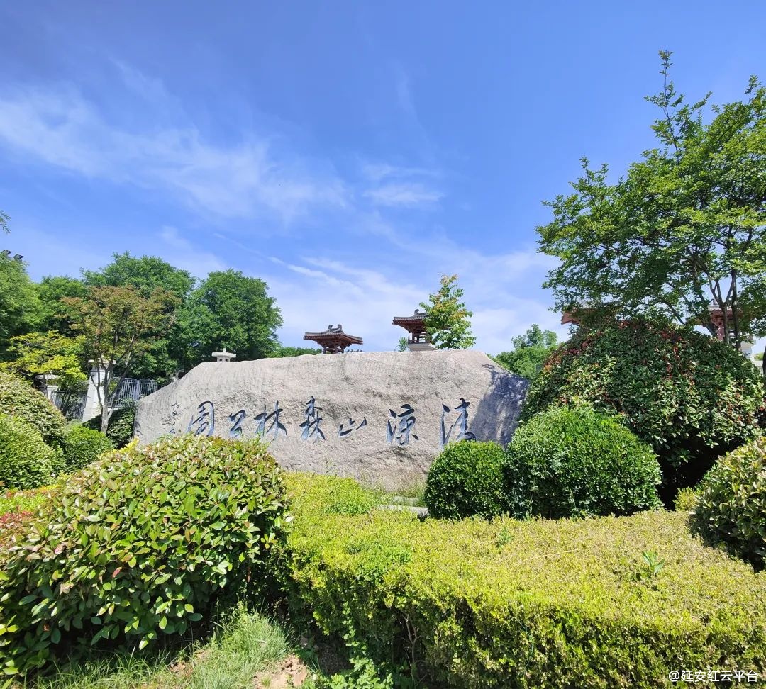 66470a6042a2a.png