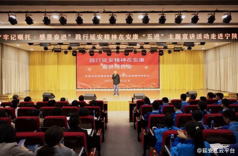 图片 11.png